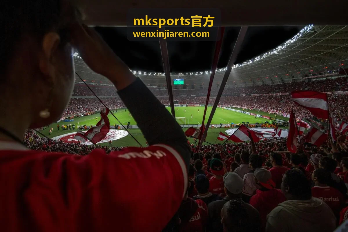 mksports官方碳板球拍实测封面