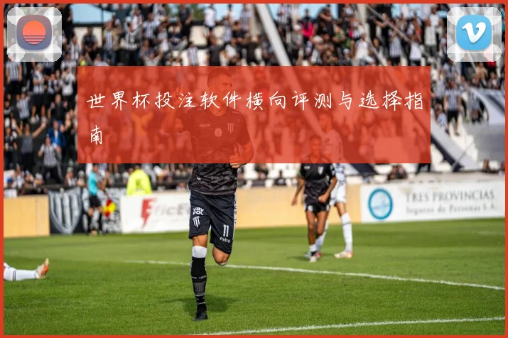世界杯投注软件横向评测与选择指南
